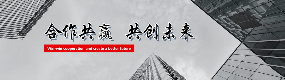 罗芬ROFIN轴承-